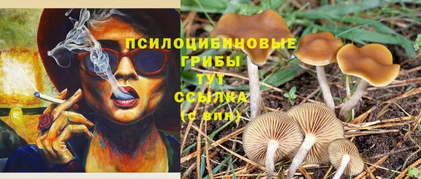 МДМА Абаза