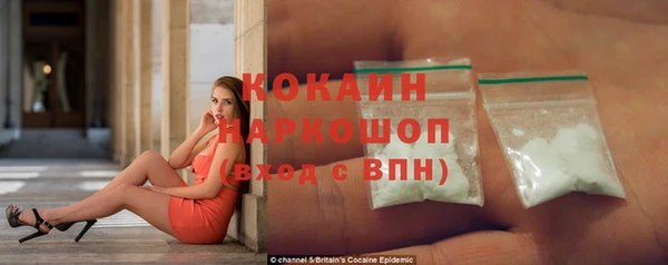 шишки Туринск