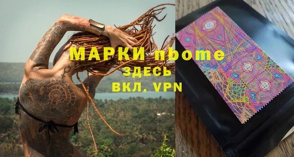 PSILOCYBIN Тында