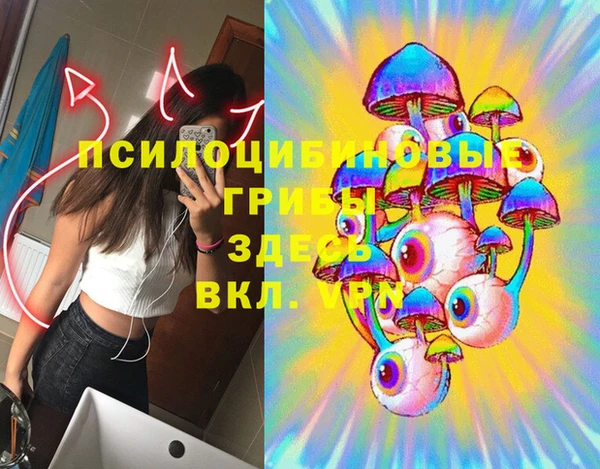 эйфоретик Алзамай