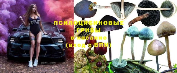 ешки Абдулино