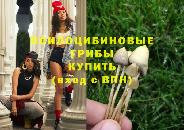 ешки Абдулино