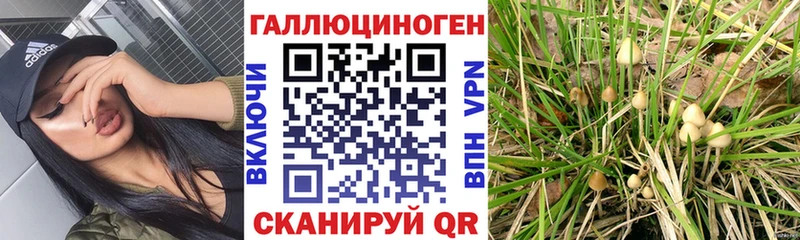 Псилоцибиновые грибы MAGIC MUSHROOMS  Кировград 