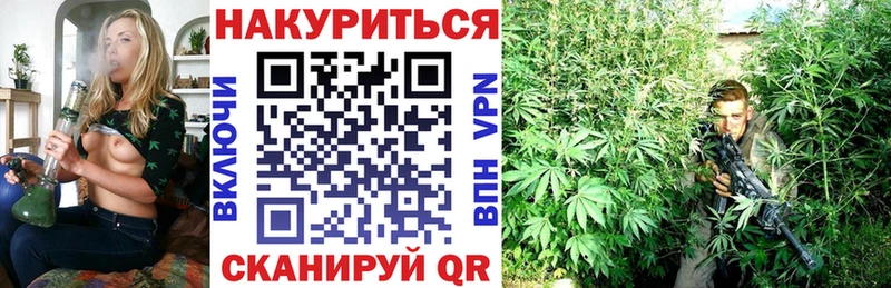 Канабис OG Kush Кировград